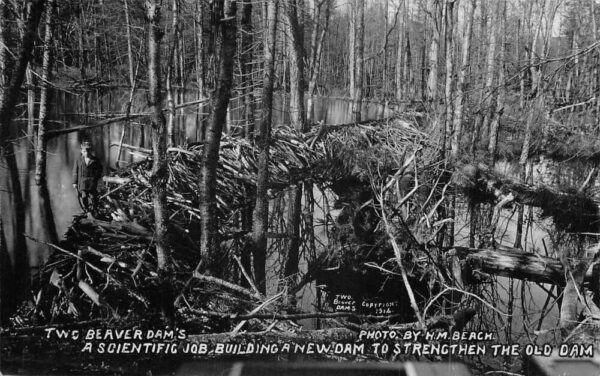 Boy Walking On Two Beaver Dams Real Photo Vintage Postcard AA85681