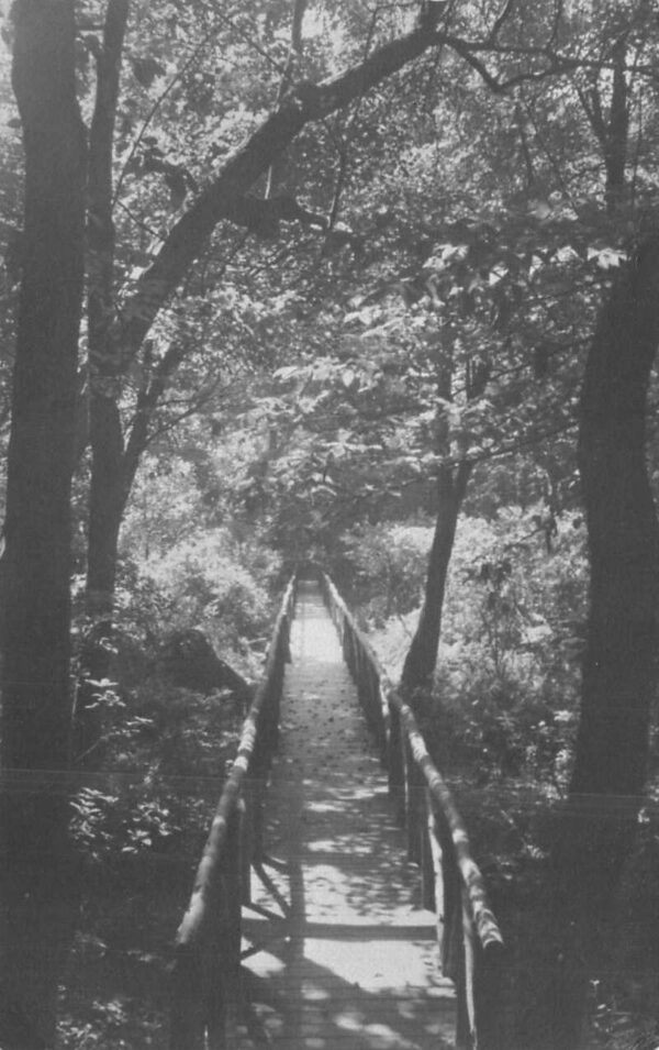 Earlville Maryland Grove Point Camp Log Bridge Real Photo Postcard AA85705