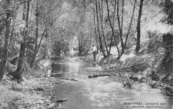 Mt Hermon California Zayante Inn Bean Creek Scenic View Postcard AA104031