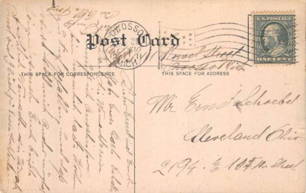Owosso Michigan White Elephants Ruins Estey Mfg Co Disaster Postcard AA104058 - Image 2