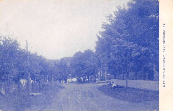 Saylorsburg Pennsylvania Nature's Highway Scenic View Vintage Postcard AA104133