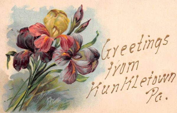 Kunkletown Pennsylvania Greetings Iris Flowers Embossed PFB Postcard AA104160
