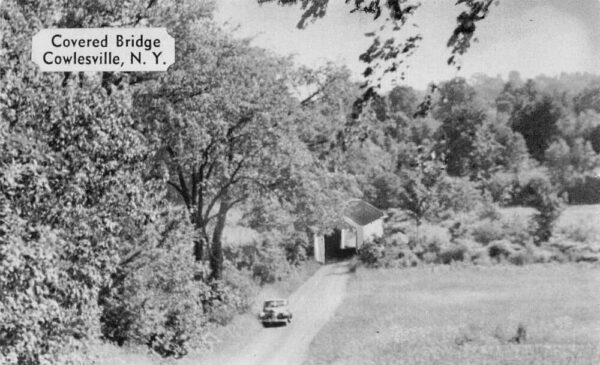 Cowlesville New York Covered Bridge Scenic View Vintage Postcard AA104168