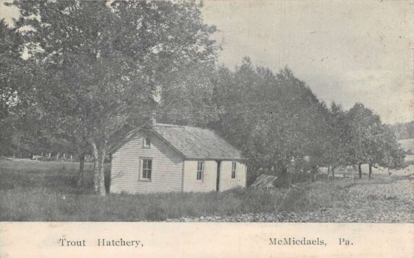 McMicdaels McMichaels Pennsylvania Trout Hatchery Vintage Postcard AA104186