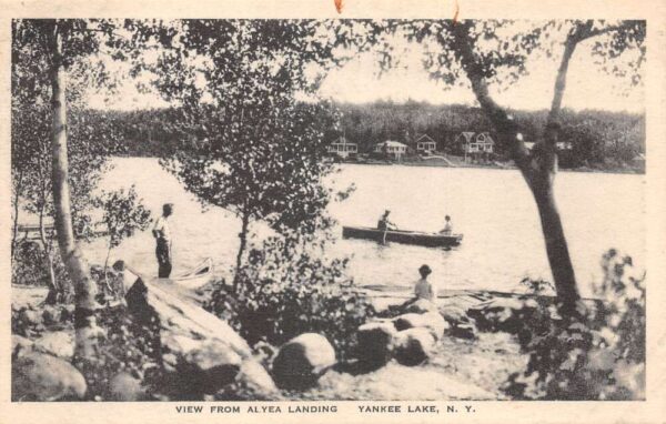 Yankee Lake New York View from Alyea Landing Vintage Postcard AA104209