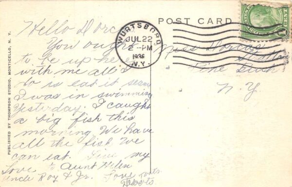 Yankee Lake New York View from Alyea Landing Vintage Postcard AA104209 - Image 2