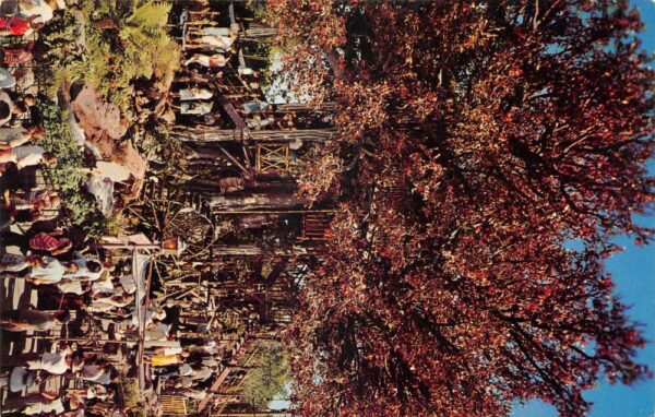 Disneyland Adventureland Swiss Family Treehouse Vintage Postcard AA104250