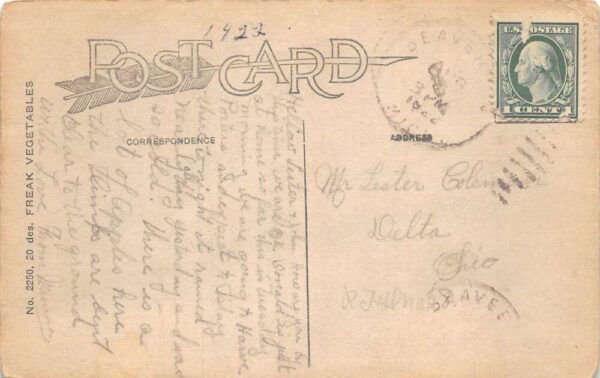 Beaverton Michigan Peach Orchard Exaggeration Vintage Postcard AA104253 - Image 2
