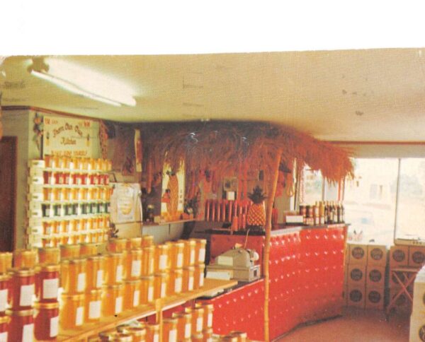 Lake Placid Florida Plantation Paradise Fruit Stand Gift Shop Postcard AA104254