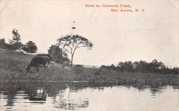East Aurora New York Scene On Cazenovia Creek, Auto Service Ad, PC U24440