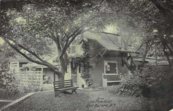 East Aurora New York Residence View, Tinted Lithograph, Vintage Postcard U24441