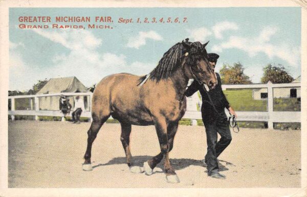 Grands Rapids Michigan Greater Michigan Fair Man with Horse Postcard AA104456