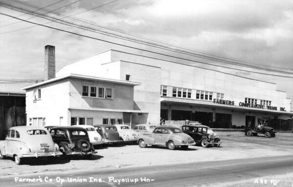 Puyallup Washington Farmers Co-Op Union Real Photo Vintage Postcard AA104483