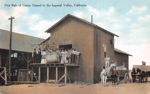 Imperial Valley California First Dale of Cotton Ginned Ginnery PC AA104518