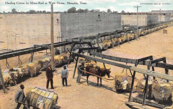 Memphis Tennessee Hauling Cotton by Monorail at Warehouse Postcard AA104552