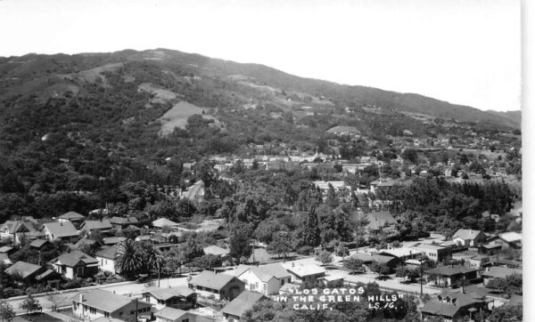 Los Gatos California Birds Eye View Real Photo Vintage Postcard AA104641