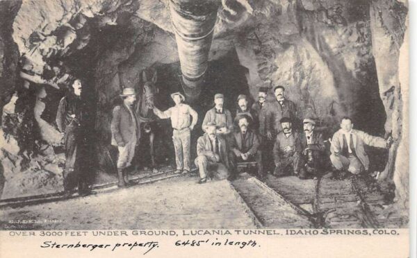 Idaho Springs Colorado Lucania Tunnel Miners Underground with Horse PC AA104648