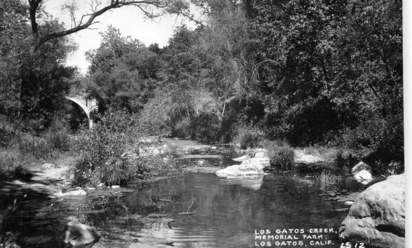 Los Gatos California Memorial Park Creek Scenic View Real Photo PC AA104661