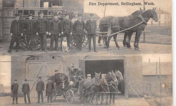 Bellingham Washington Fire Department Horse Wagons Vintage Postcard AA104701