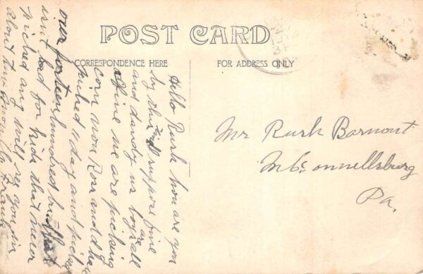 Greene Iowa Birds Eye View Real Photo Vintage Postcard AA104726 - Image 2