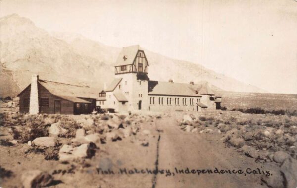 Independence California Fish Hatchery Real Photo Vintage Postcard AA104867