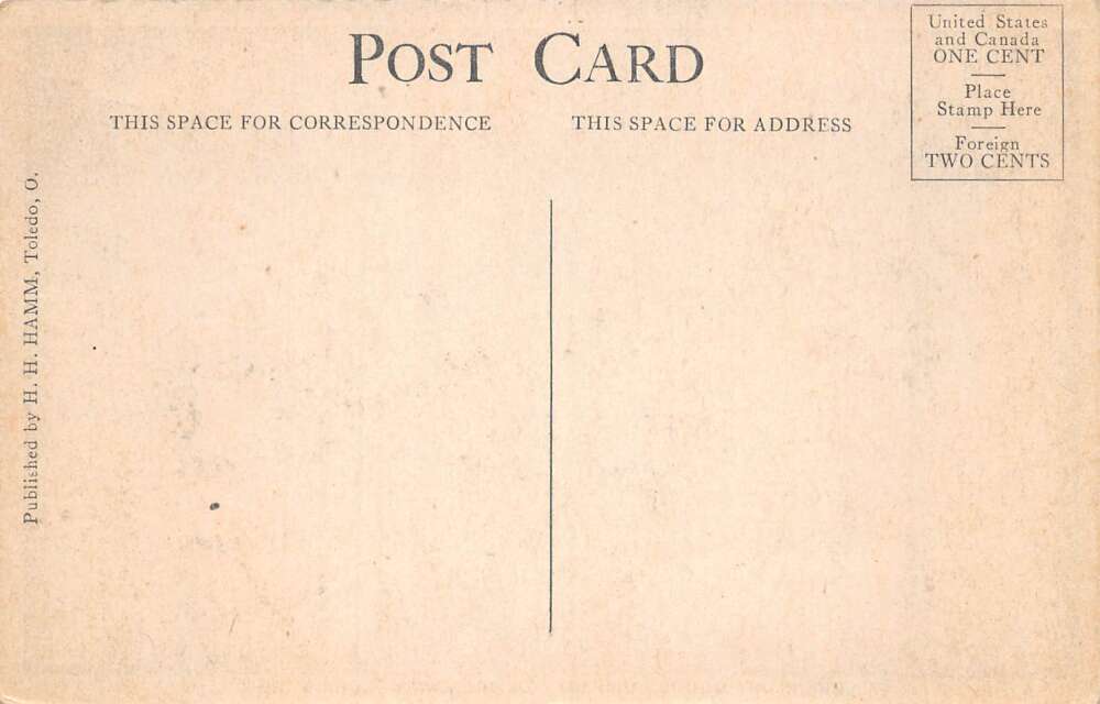 Lorain Ohio Dry Goods Store Fire Disaster Exterior Vintage Postcard AA104912 - Image 2