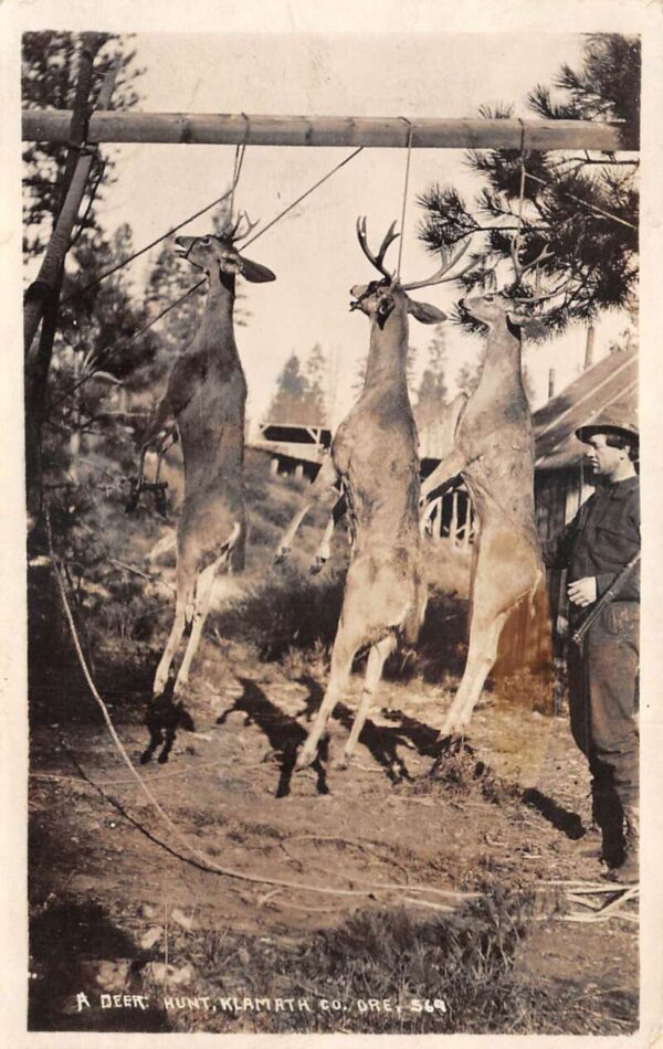 Klamath Oregon Deer Hunt Real Photo Vintage Postcard AA105019