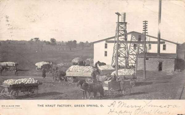 Green Spring Ohio Kraut Factory Horse Wagons Vintage Postcard AA105035