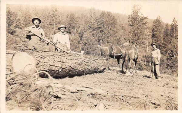 Lumberjacks Logging Scene Horses Hauling Log Real Photo Postcard AA105055