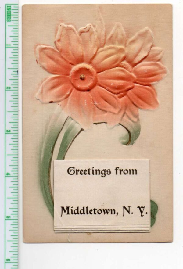 Middletown New York Fold Out Views Embossed Airbrushed Flower Postcard AA105106