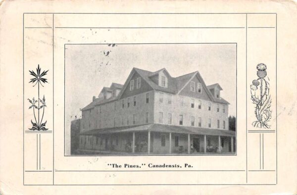 Canadensis Pennsylvania The Pines Vintage Postcard AA105141