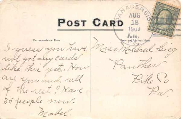 Canadensis Pennsylvania The Pines Vintage Postcard AA105141 - Image 2