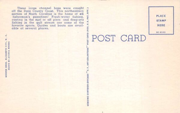 Oregon Inlet North Carolina Girl and Dog Fishing Scene Postcard AA105167 - Image 2
