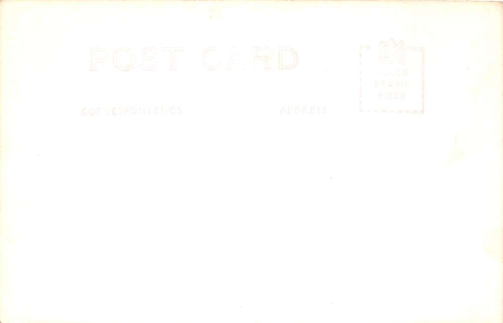 Chester California St Bernard Lodge Ad Dogs Real Photo Vintage Postcard AA105183 - Image 2