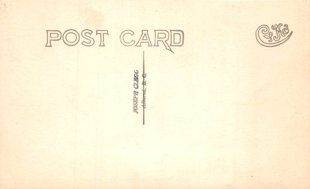 Port Alberni BC Canada Sproat Falls Scenic View Real Photo Postcard AA105184 - Image 2