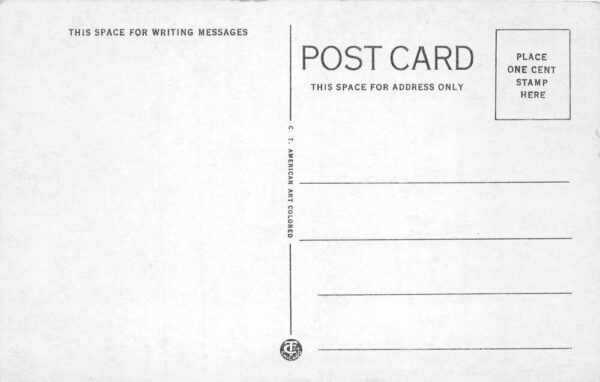 Columbus Ohio State University Derby Hall Band Postcard AA105394 - Image 2