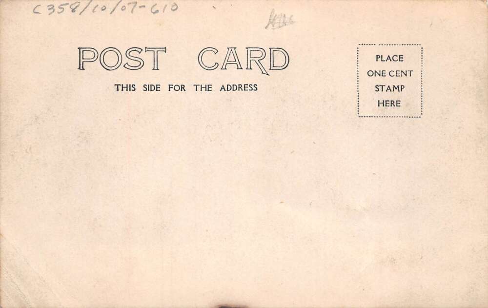 Man Posing with Lion in Park Real Photo Vintage Postcard AA105528 - Image 2