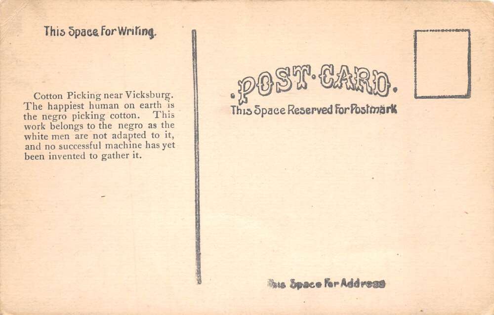 Vicksburg Mississippi Picking Cotton Vintage Postcard AA105585 - Image 2