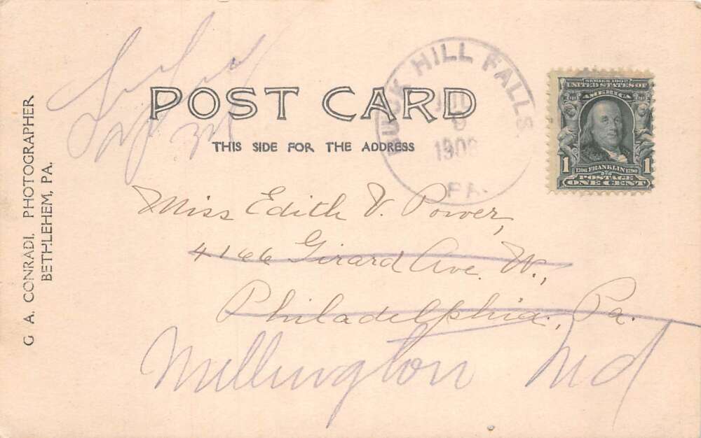 Buck Hill Falls Pennsylvania Forest View Plants Scenic Real Photo PC AA85851 - Image 2