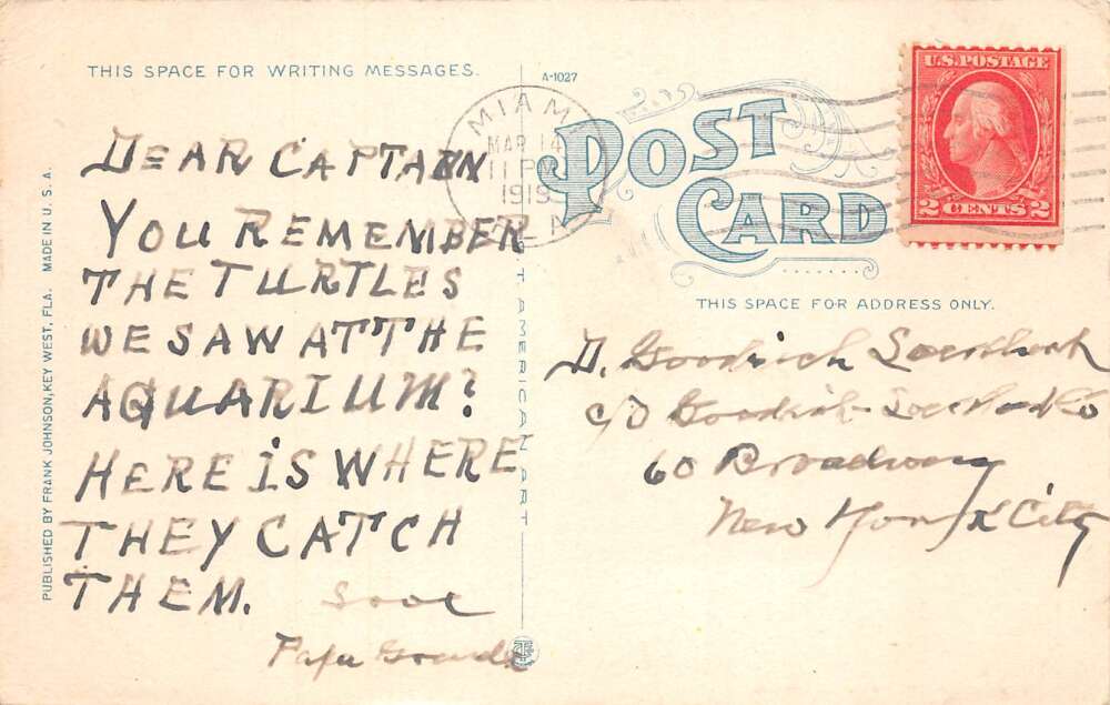 Key West Florida Turtle Hunting Fishing Vintage Postcard AA85892 - Image 2