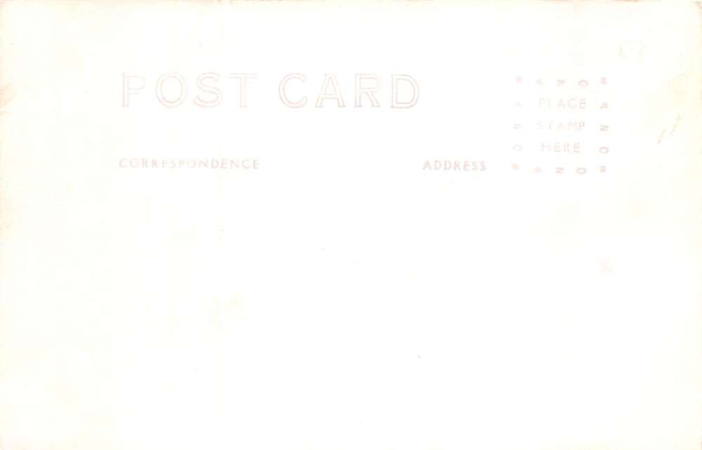 Porto Rico Puerto Rico Palma Real Palm Trees Scenic View Real Photo PC AA85967 - Image 2