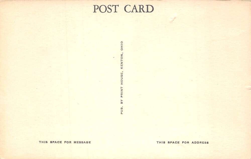 Point Hope Alaska Inuit Indian Whale Hunt Vintage Postcard AA105389 - Image 2