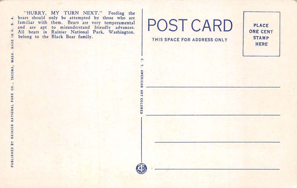 Ranier National Park Washington Feeding Bears Vintage Postcard AA105401 - Image 2