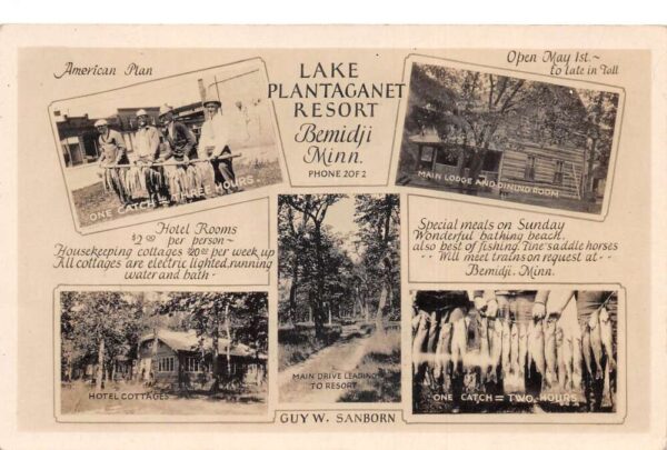 Bemidji Minnesota Lake Plantaganet Resort Multiview Real Photo Postcard AA105751