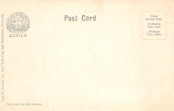 Buffalo New York Greetings Pansy Lady Multiview Vintage Postcard AA105759 - Image 2