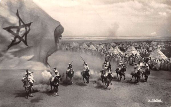 Morrocco Fantasia Horse Riding Performance Real Photo Vintage Postcard AA105802