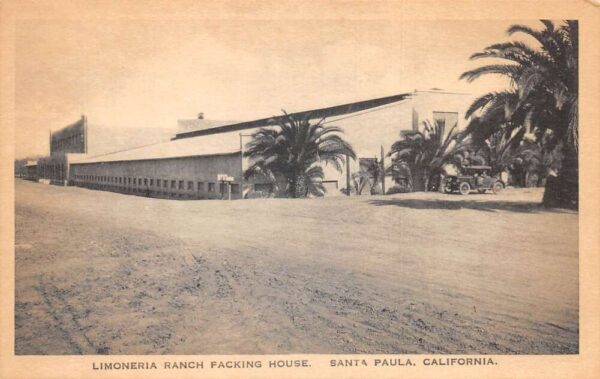 Santa Paula California Limoneria Ranch Packing House Vintage Postcard AA105813