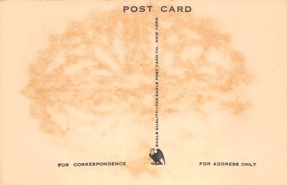 Oliverea New York Mountain House Vintage Postcard AA105825 - Image 2