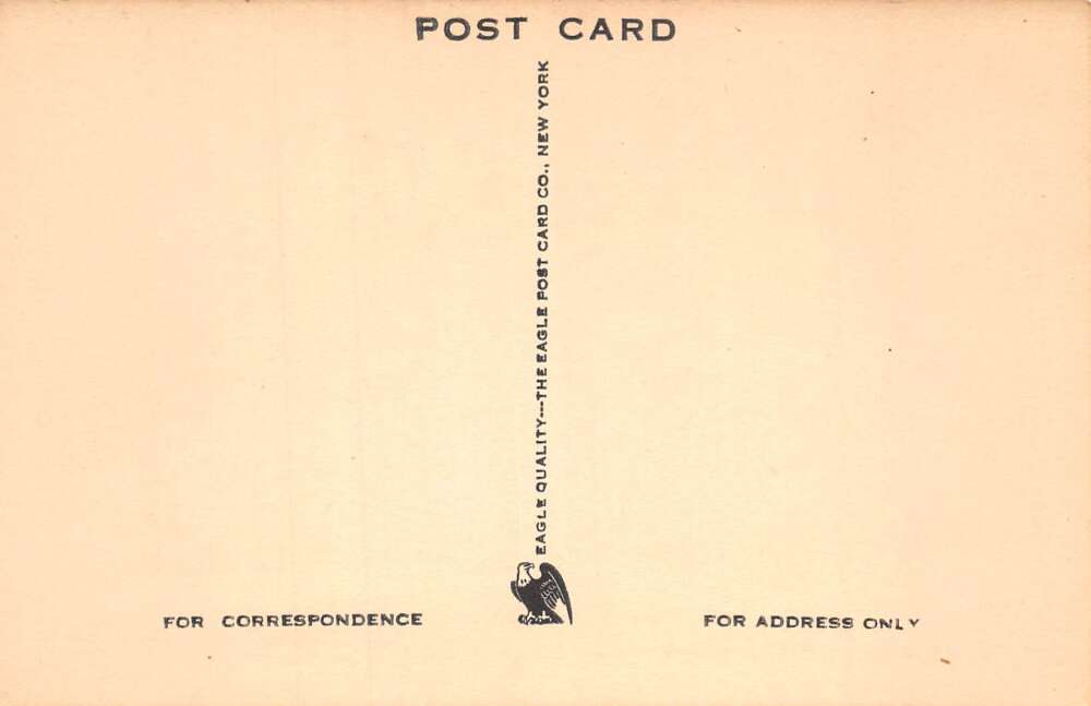 Oliverea New York Slide Mountain House Dance Hall Vintage Postcard AA105827 - Image 2