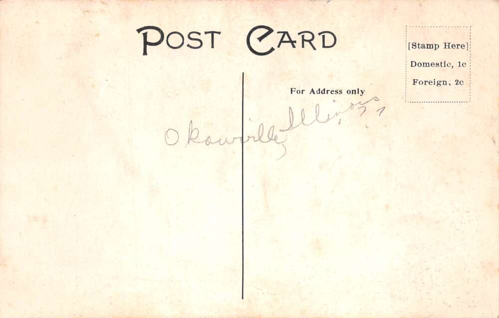 Hoyleton Illinois Orphanage and Children 1912 Vintage Postcard AA105876 - Image 2